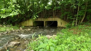 Energizing Waters: Stream Rushing Under a Culvert