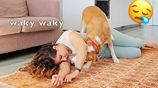 Pretending to faint in front of my dog | emotional reaction