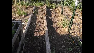 Full Garden Tour - Mid June 2020