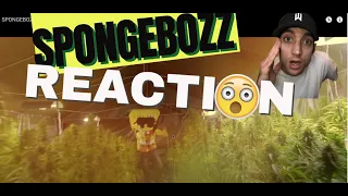 Canadian Rapper reacts to German Rap | SPONGEBOZZ   Planktonweed  | Music Video  #5MIN06SEC @SMAKSHA