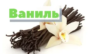 Ваниль | Как это сделано | Vanilla. Madagascar