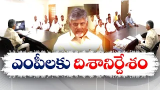 గెలుపుతో ఆకాశంలోకి ఎగరొద్దని ఎంపీలకు చంద్రబాబు నిర్దేశం | Chandrababu Meets TDP MPs