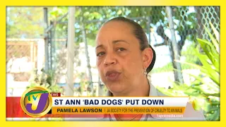 St. Ann 'Bad Dogs' Put Down | TVJ News