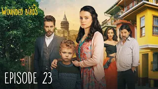 Wounded Birds - Епізод 23 - [Українські субтитри] Турецька драма | Yaralı Kuşlar 2019