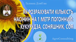 Як розрахувати кількість насінин на 1 метр погонний: кукурудза, соняшник, соя