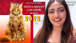 The Best Cat Show Ever 2022 | Navi Mumbai | Feline Club of India (FCI) | #vlog_15