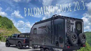 Palomino Pause 20.3