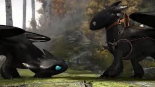 What If.. Toothless had a brother who protected him from the Light Fury?