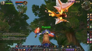 1v2 (Rogue level 77 vs Rogue and Shaman 80) • WotLK Classic