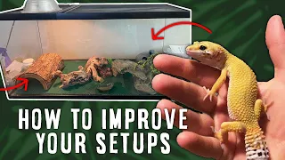 Tips & Tricks To Improve Your Reptile Setups | REACTING TO YOUR SETUPS