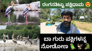 ರಂಗನತಿಟ್ಟು ಪಕ್ಷಿಧಾಮ | Ranganathittu Bird Sanctuary YouTube in Kannada