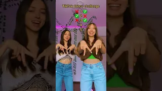 How many dances do you know? #tiktok #dance #duet #duetdance #viral #duetchallenge