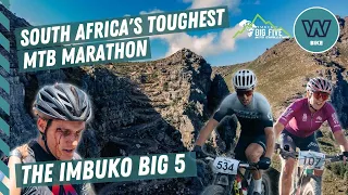 IMBUKO BIG 5 HIGHLIGHTS 2023 | THE BATTLE IN THE MOUNTAINS