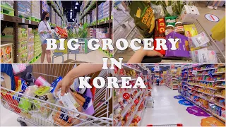 KOREA VLOG 🇰🇷 | BIG GROCERY STORE IN KOREA | EMART TRADERS AND HOMEPLUS