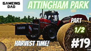 HARVEST TIIME PART 1/2! #fs22 #attinghampark #youtube #gameingdad #jcb #masseyferguson #valtra