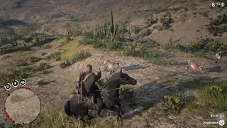 Most of the New Austin animals as Arthur (outside the map glitch)- RDR2