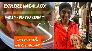 Explore Nagaland | Facts about Nagaland | Telugu travel vlog | English subtitles