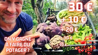 Combien ça rapporte un potager 🤔 ?!