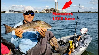 Apollo beach power plant fishing!! (Winter time Fishing Tampa Florida)