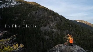 BEAR HUNT in the Montana Wilderness | In The Cliffs