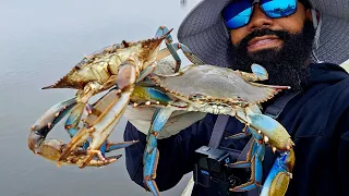 Great Day Crabbing!!! Florida Blue Crabs!!! How to Crab!!!