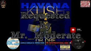 Dr. Dre & Snoop Dogg, Akon ~ Kush Vs Camila Cabello & Young Thug ~ Havana (CLMashup) Part 1