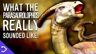 What Did Parasaurolophus REALLY Sound Like!?