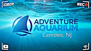 Adventure Aquarium, Camden NJ FULL EXPERIENCE!