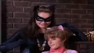 Pussycat Seduces Robin