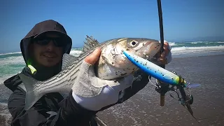 Virg’s Landing - Morro Bay, CA #battlestartackle