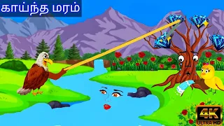 story of small tree and the eggle /birds cartoon story / village birds cartoon tamil