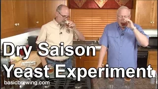 Dry Saison Yeast Experiment - Basic Brewing Video - December 15, 2017