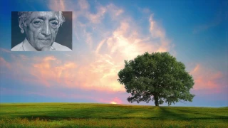 The Purpose of Life - conversation with J. Krishnamurti