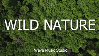 Wild Nature [Cinematic Ethnic Trailer / Inspiring World Background] - (Royalty Free Music)