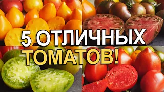 ЭТИ СОРТА СТОИТ ПОСАДИТЬ! 5 СОРТОВ С ОТЛИЧНЫМ ВКУСОМ!