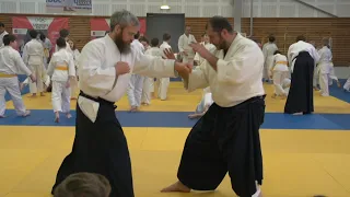 Детско-юношеский семинар по айкидо (Койнобори Додзё, 2018) | Junior Aikido Seminar (Koinobori Dojo)