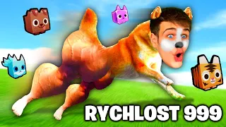 Jsem NEJRYCHLEJŠÍM HRÁČEM PET RACE v Robloxu!