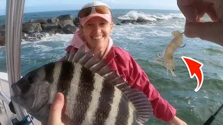 Sheepshead “Shrimp” CHALLENGE with surprising results!