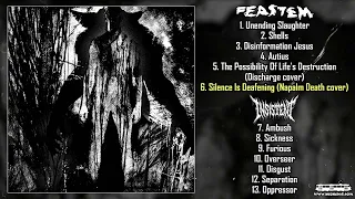 Feastem / Insistent - split LP FULL ALBUM (2023 - Grindcore)