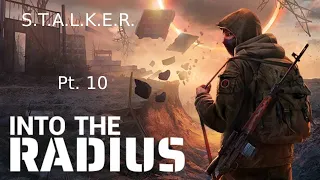 The Greatest Sacrifice I had To Make So Far (Ending)| Into The Radius Stalker Mod
