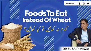 WHAT TO EAT INSTEAD OF WHEAT | IS WHEAT HARMFUL ? WHY SHOULD I STOP EATING WHEAT ?@DrZubairMirza
