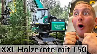 XXL Holzernte mit dem IMPEX Hannibal T50 - Größter Raupen Harvester der WELT - M4cM4nus reagiert