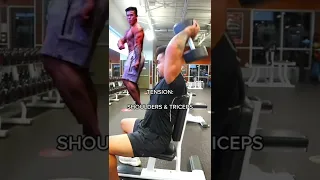 DB Overhead Tricep Extension