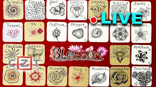 How to draw tangles -  Blossom - Organic - Draw with CZT - Tangle Marathon - Day #2