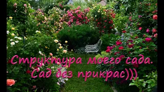 Структура моего сада без прикрас. Ответы на вопросы подписчиков.