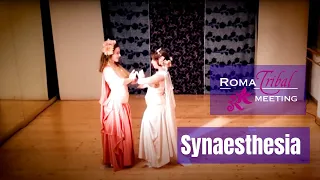 Synaesthesia @ Roma Tribal Meeting 2023