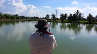 Arapaima Fishing !!! Bkk Fishing Tour Package !!! Predator Fishing Thailand By BKKGUY