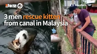 3 men rescue kitten from canal in Malaysia｜English Video｜Pet｜Cat