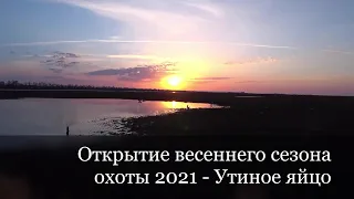 Охота на гусей и уток весной 2021 г - Открытие сезона