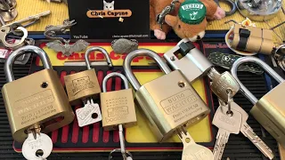 #1266 Burg Wachter  Padlocks